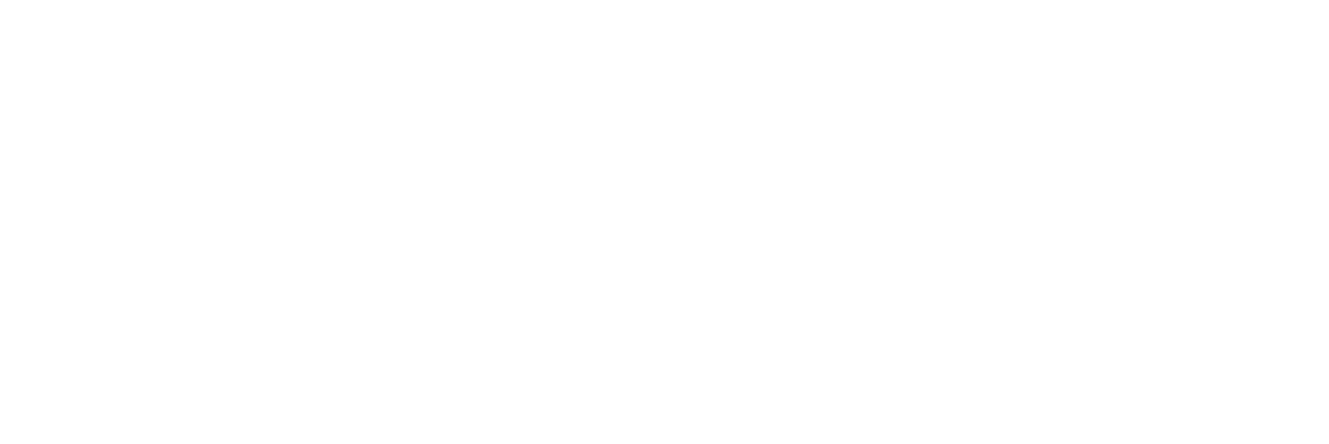 StonCor Middle East Logo Transparent White